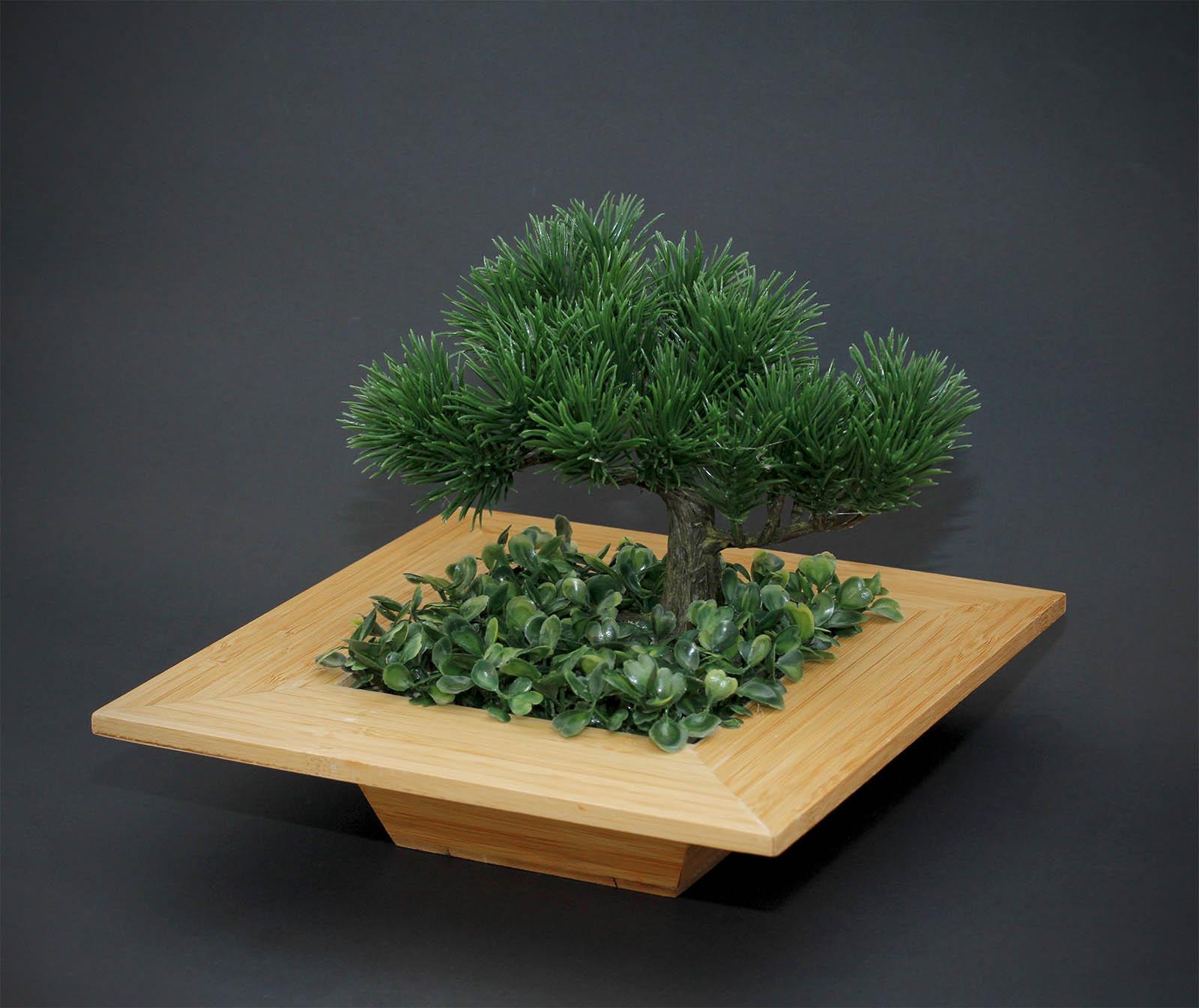 Bonsai Planter picture 1