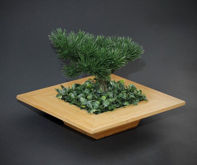 Bonsai Planter picture miniature