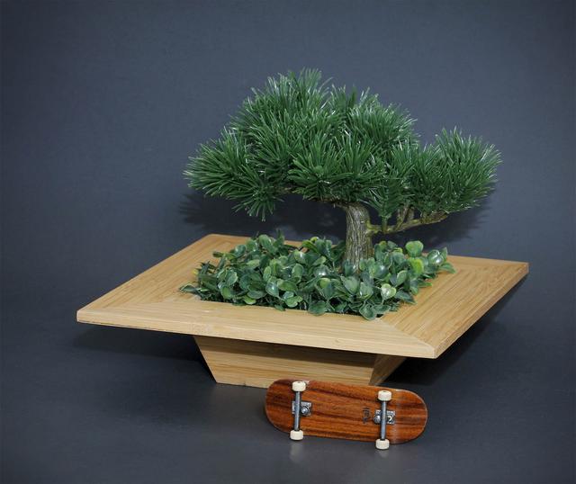 Bonsai Planter picture miniature